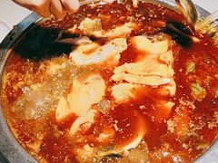 -蜀滋香鲜鱼美蛙火锅(339店)