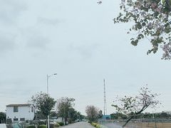 -东涌水乡风情街