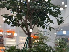 -大树餐厅(红旗街万达店)