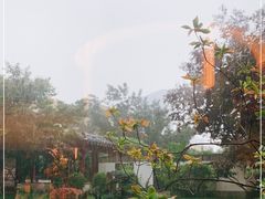 -九献创意菜·牛排馆(亮马河花园店)