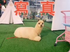 -武汉5D星空错觉艺术馆(中心百货店)