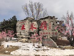 -王莽岭风景区