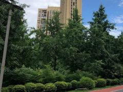 -龙头寺公园