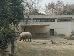 -成都动物园