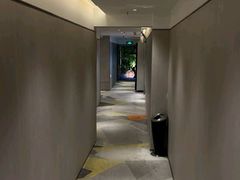 -金色希望596