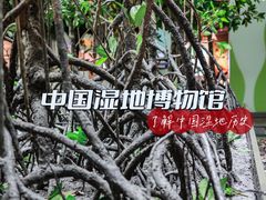 -中国湿地博物馆