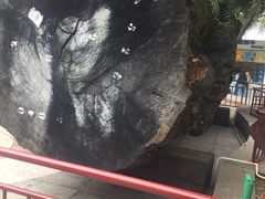 -海口骑楼小吃街