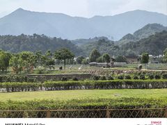 -福建土楼（华安）旅游区•大地土楼群