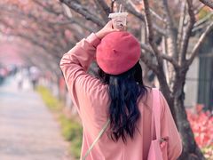 -高东镇樱花园