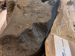 -白鹤梁水下博物馆