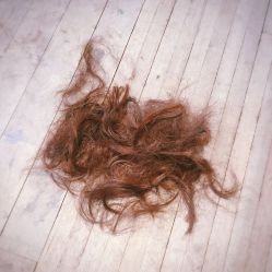 -M3 Hair Studio