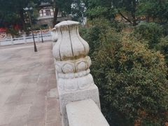 -潜山国家森林公园