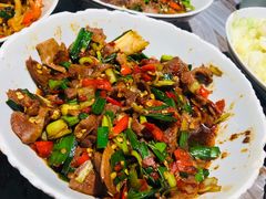 -壹盏灯(惠农店)