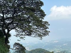 -黄埔油麻山森林公园