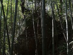 -祁门牯牛降观音堂风景区