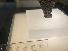 -临沂市博物馆