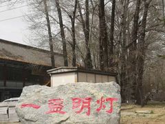-一盏明灯全素斋(殊像寺店)