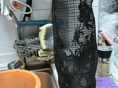 -上海都市菜园