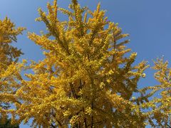 -成都中医药大学(温江校区)