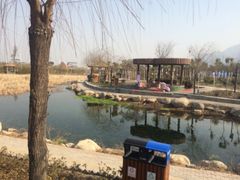 洛阳灵山莲花温泉度假区-灵山莲花公园-温泉度假区