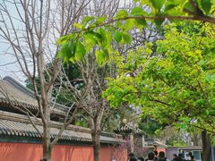 -国家植物园南园