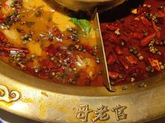 -哥老官重庆美蛙鱼头(日月光店)