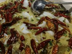 酸菜鲈鱼锅-江渔儿酸菜鱼(东二环泰禾店)