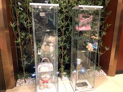 -广州长悦雷克萨斯