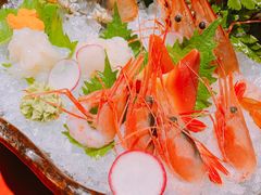 小青龙-初花·日本料理