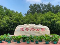 -莲花池公园
