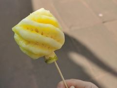 -西双版纳原始森林公园