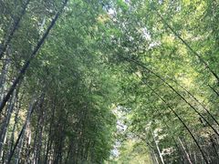 -苏州环秀晓筑养生度假村