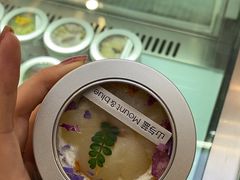 -山与蓝·轻糖鲜果蛋糕(勒泰店)