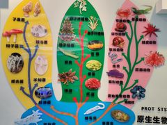 -金钉子远古世界景区