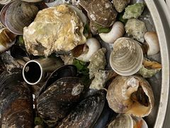 贝壳拼盘-健眺小海鲜(临海后山店)