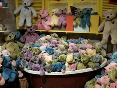 -济州岛泰迪熊博物馆