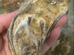 -兆辉木炭海鲜烧烤·海鲜小炒