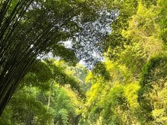 -平乐古镇