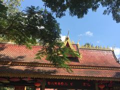 -西双版纳傣族园