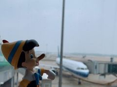 -杭州萧山国际机场
