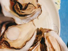 -千岛蚝高压锅生蚝·人参火锅(白云万达店)