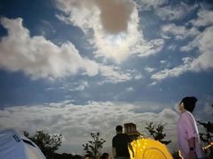 -春花秋色城市公园