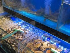 -苏格里岛自助海鲜烤肉(青秀万达店)