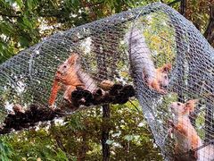 -哈尔滨北方森林动物园