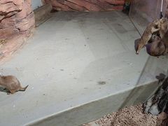 -正佳雨林生态植物园