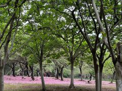 -白塘生态植物园
