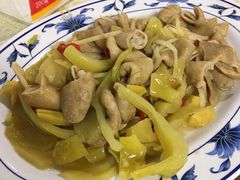 -金包里鸭肉ㄜˋ