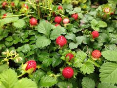 -漕溪路(地铁站)