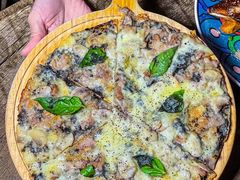 -Famous肥猫墨西哥音乐餐吧(五棵松华熙LIVE店)