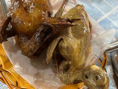 -石岐乳鸽村(桥观坊南四巷店)